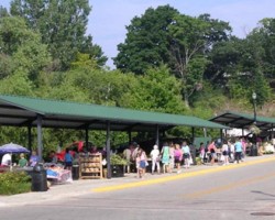 City of Montague Farmers' Market