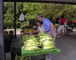 City of Montague Farmers' Market