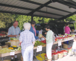 City of Montague Farmers' Market