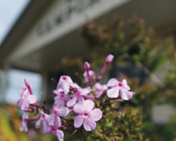 Trailway Campground, City of Montague