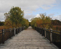 Trailway Campground, City of Montague